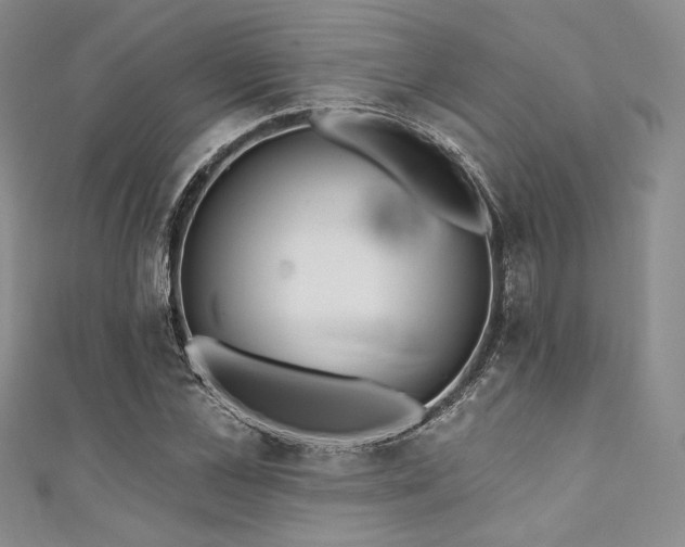 X0000111890973200907231553