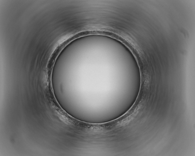 X0000111890974200907231553