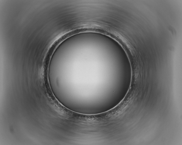 X0000111890975200907231552