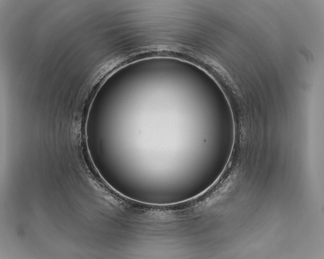 X0000111890977200907231552