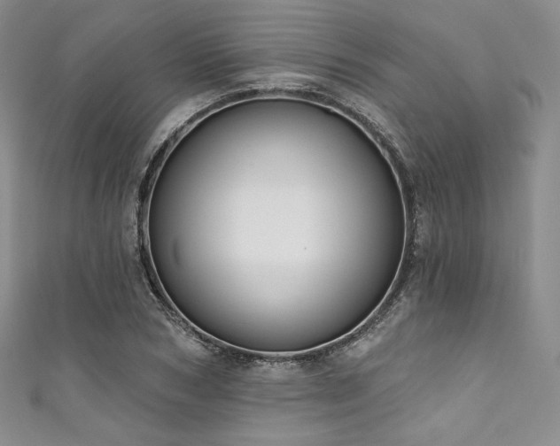 X0000111890978200907231552