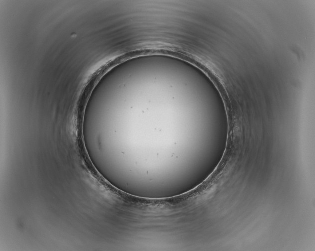 X0000111890979200907231552