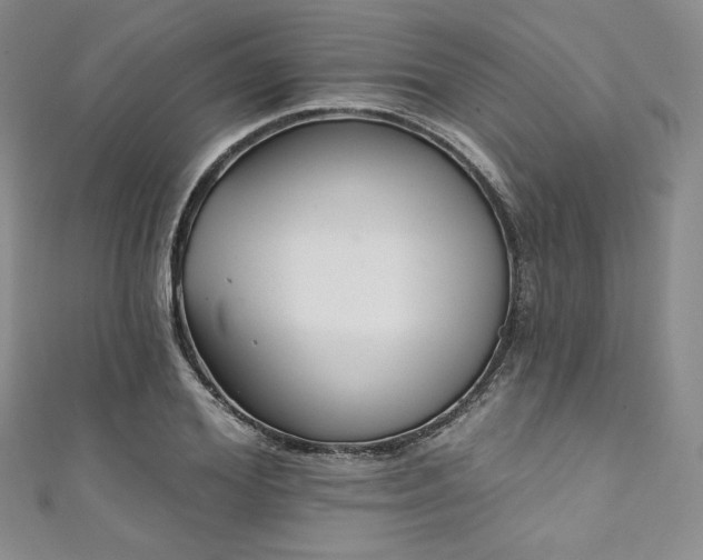 X0000111890980200907231552
