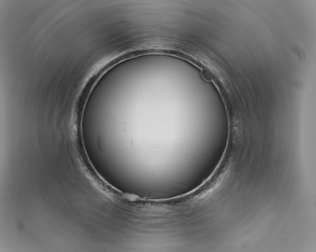 X0000111890981200907231552