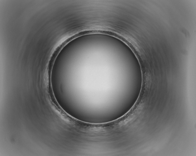 X0000111890982200907231552