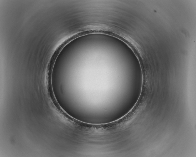 X0000111890983200907231552