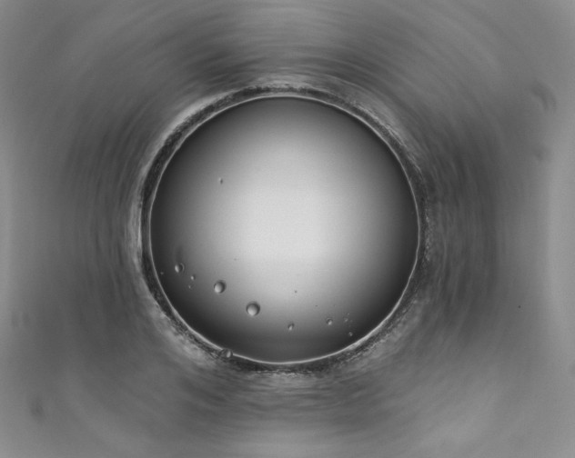 X0000111890984200907231552