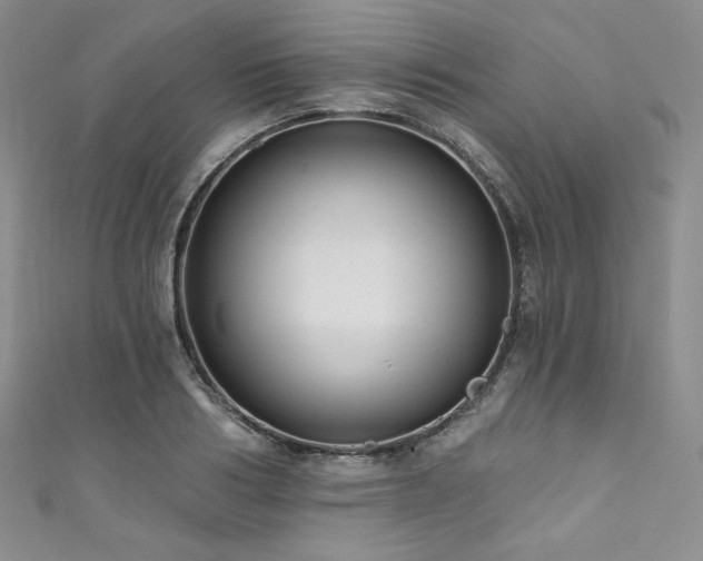 X0000111890986200907231552