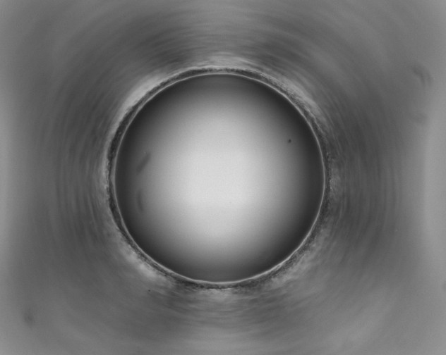 X0000111890990200907231552