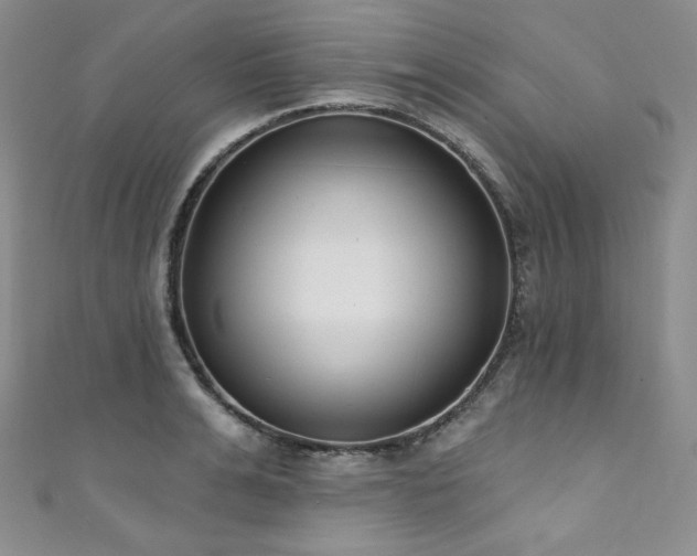 X0000111890991200907231552