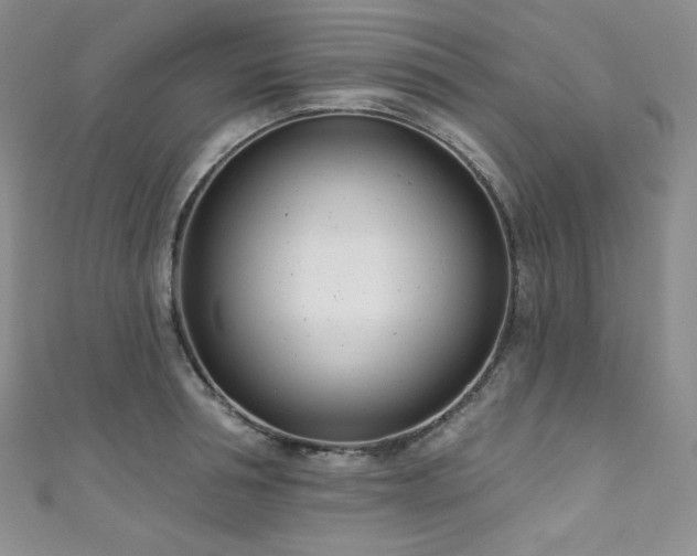 X0000111890994200907231552