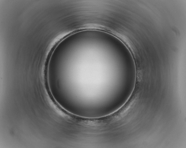 X0000111890995200907231552