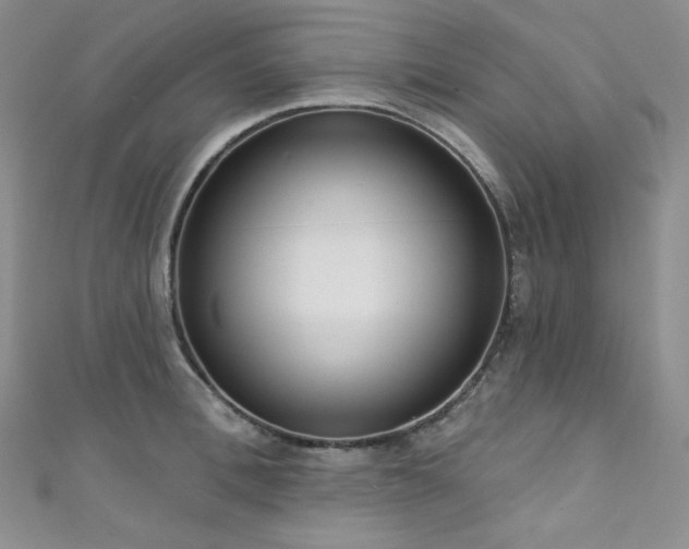 X0000111890996200907231552