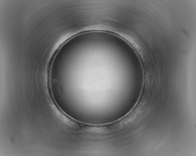X0000111890998200907231552