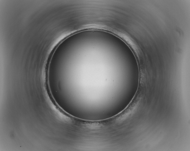 X0000111890999200907231552