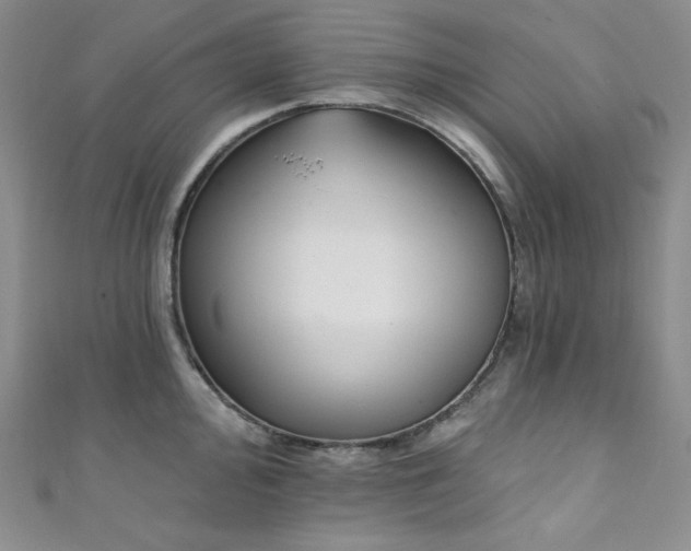X0000111891000200907231552