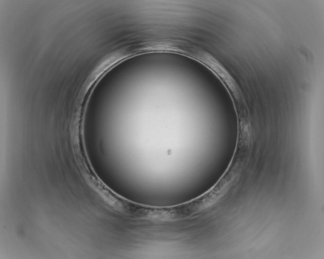 X0000111891002200907231552