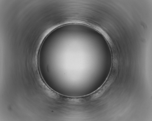 X0000111891004200907231552