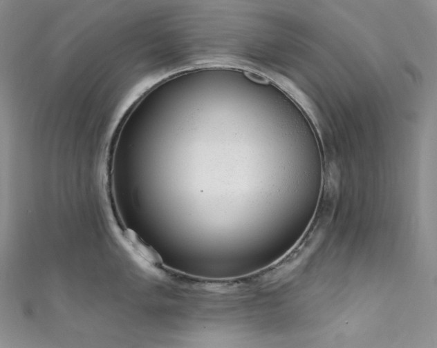 X0000111891005200907231552