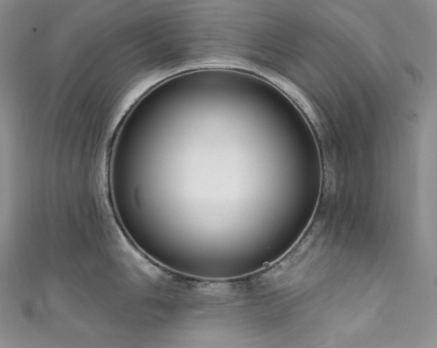 X0000111891006200907231552