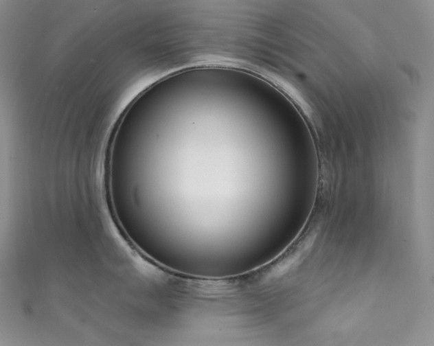 X0000111891007200907231552