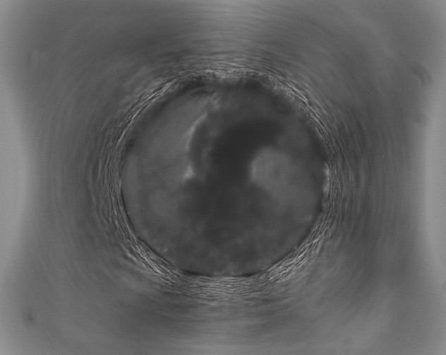 X0000111891009200907231551