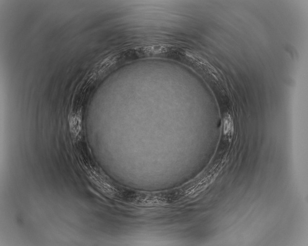 X0000111891011200907231551