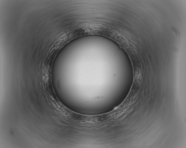 X0000111891012200907231551