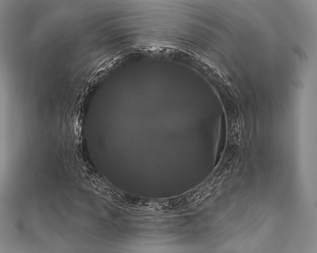 X0000111891013200907231552