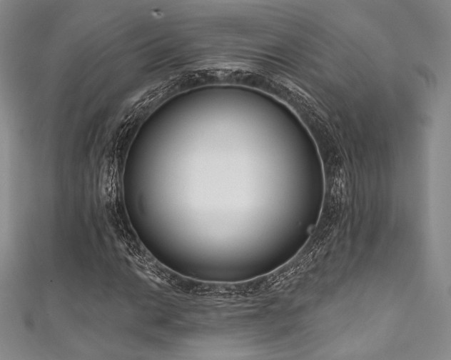 X0000111891014200907231552