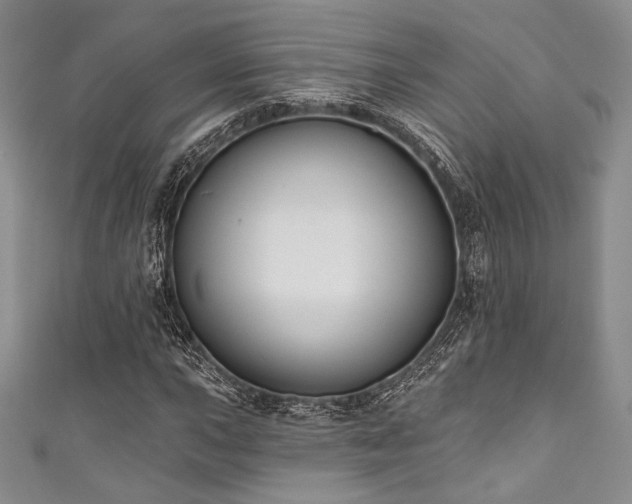 X0000111891015200907231552