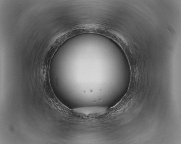 X0000111891016200907231552