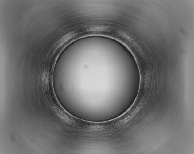 X0000111891017200907231552