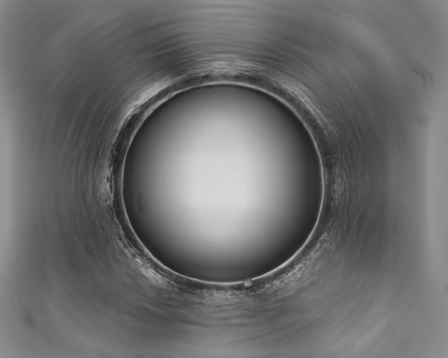 X0000111891018200907231552