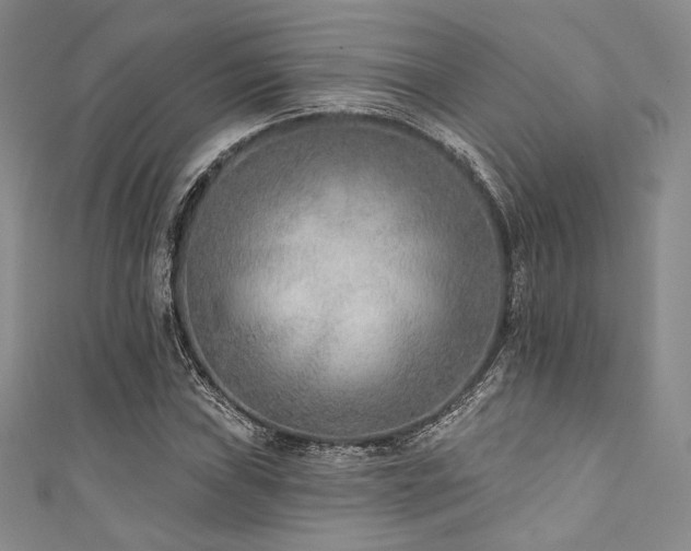X0000111891019200907231552