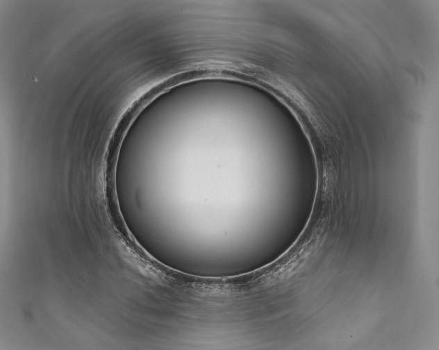 X0000111891020200907231552