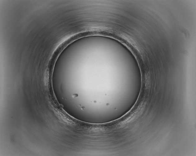 X0000111891021200907231552