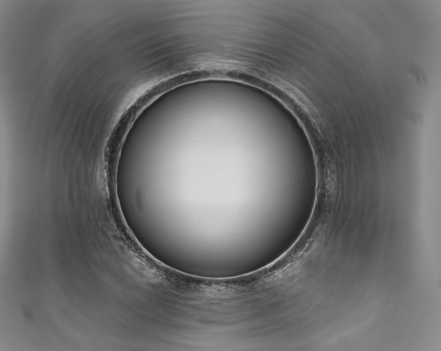 X0000111891022200907231552
