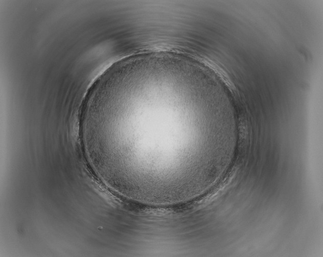X0000111891023200907231552