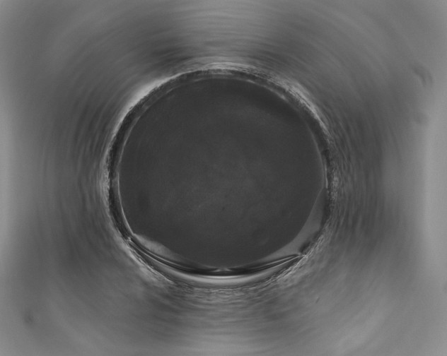 X0000111891024200907231552