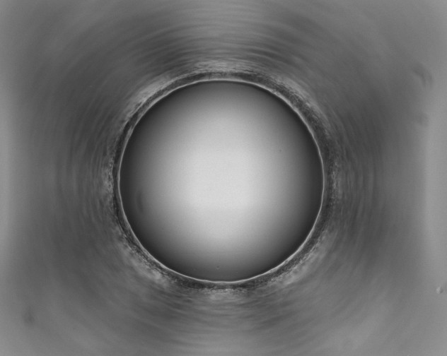 X0000111891025200907231552