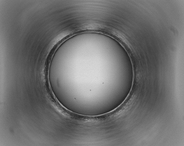 X0000111891026200907231552