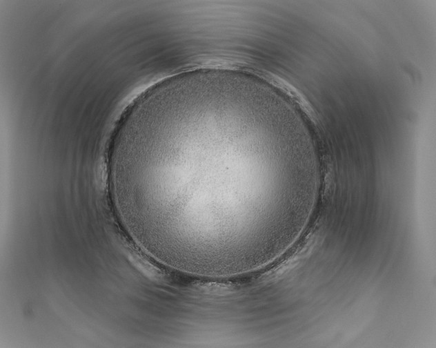 X0000111891027200907231552