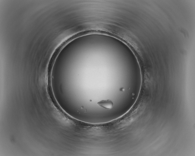 X0000111891028200907231552