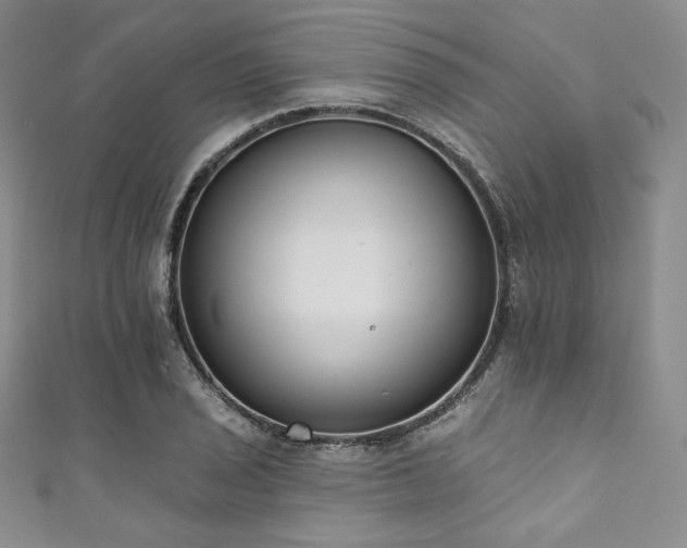 X0000111891029200907231552