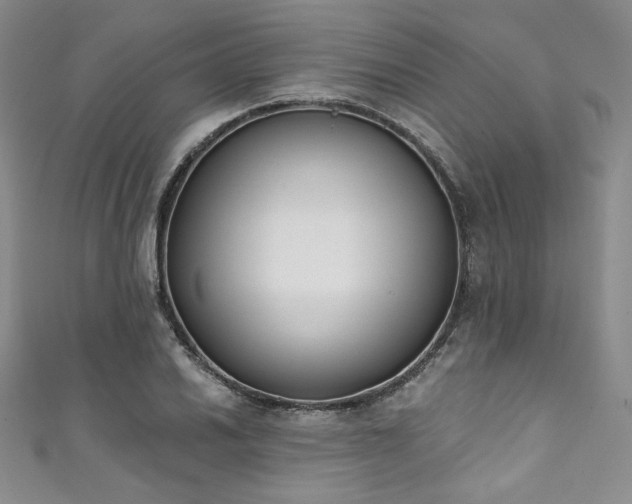 X0000111891030200907231552