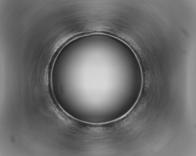 X0000111891031200907231552