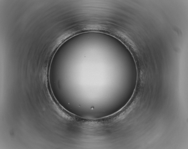 X0000111891033200907231552
