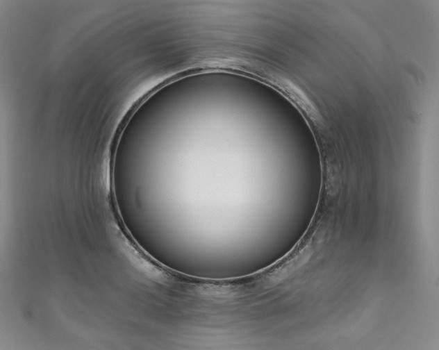 X0000111891036200907231552