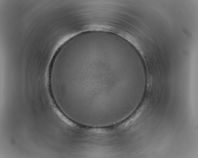 X0000111891037200907231552